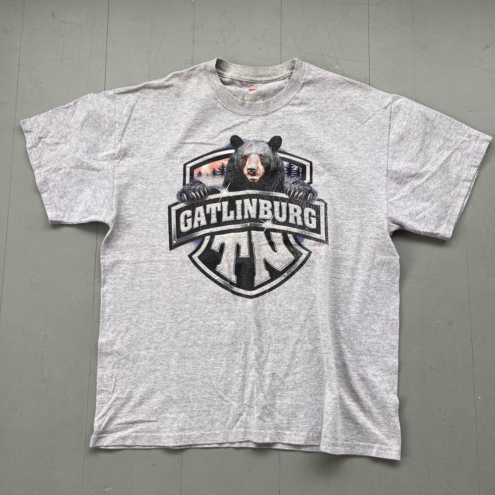 Gatlinburg Tennessee Graphic black bear t-shirt